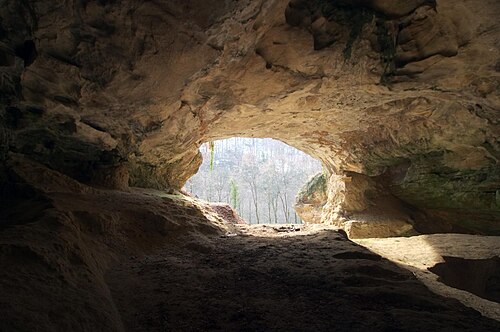 Vindija Cave